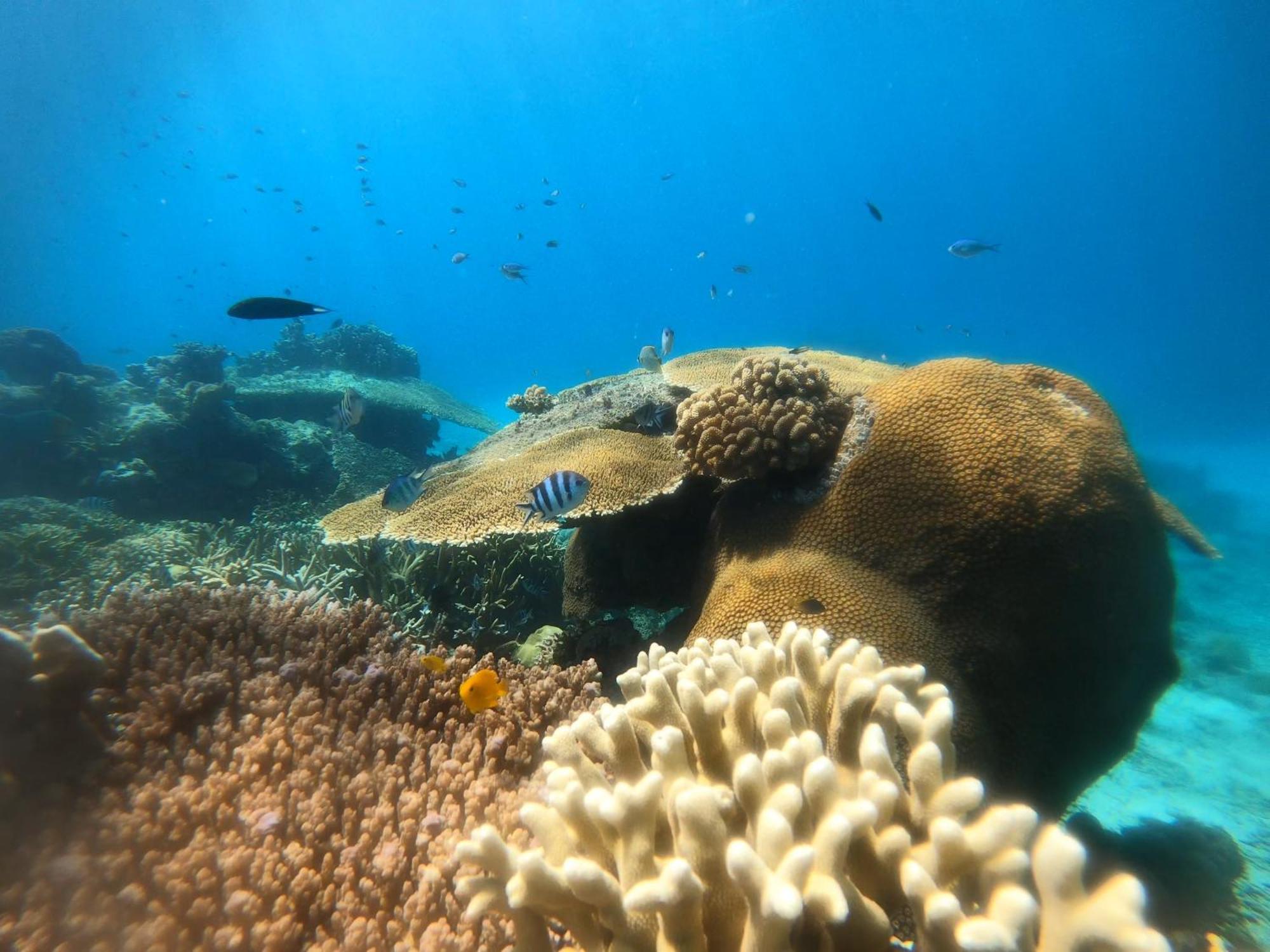 Natuna Dive Resort Ranai Bagian luar foto