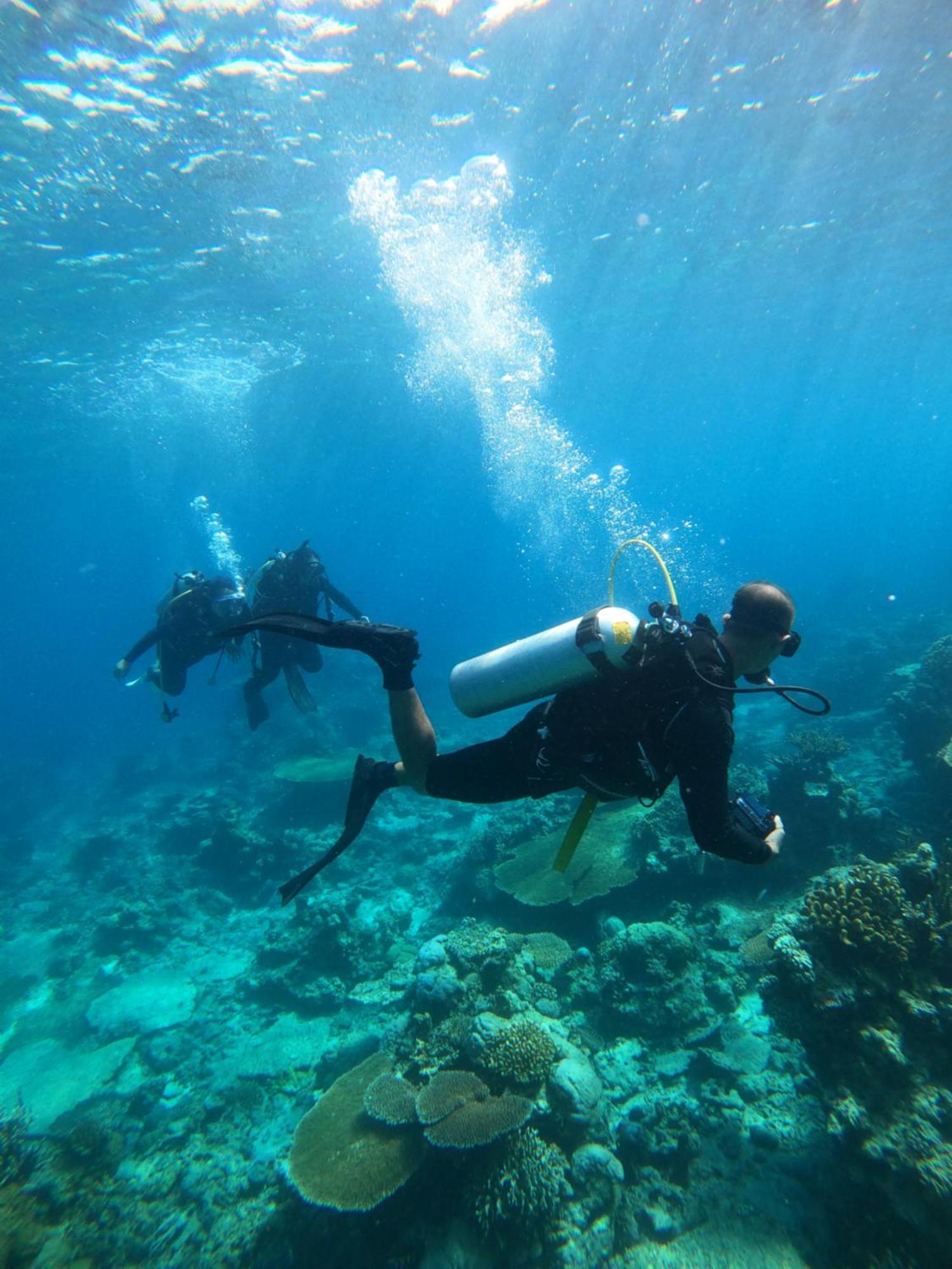 Natuna Dive Resort Ranai Bagian luar foto